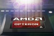 amd