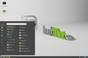 Mint 17.3 desktop