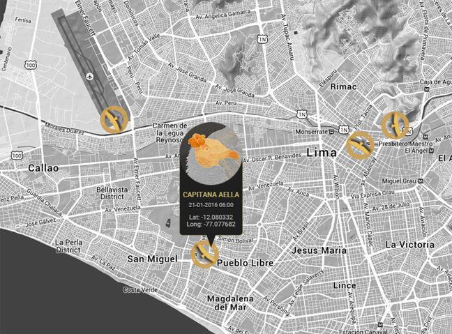 Screen grab of the Lima live vulture map