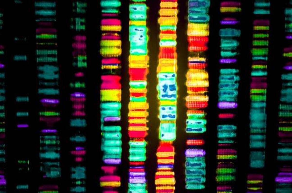 Brit boffins get green light to edit human genome