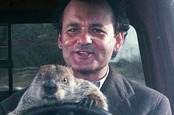 Bill Murray in the movie Groundhog Day. If you haven't seen it, it's about a man forced to endure reliving the same day over and over. Pic: Columbia Pictures