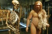 Neanderthal