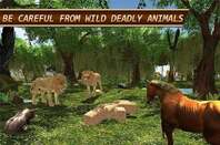 Screenshot from 'Life of Horse - Wild Simulator'
