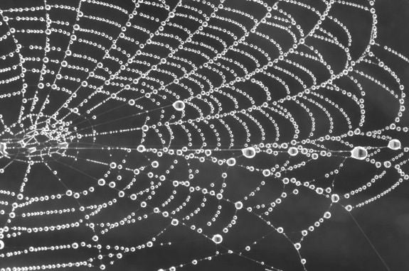 Google unleashes Gemini AI agents on the dark web