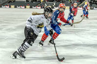 Ice_hockey_game