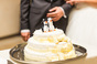 Penguin wedding cake, image via Shutterstock