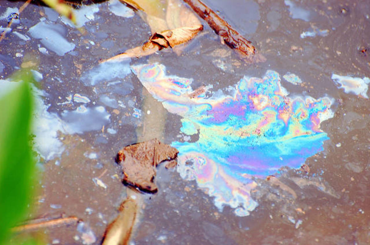 Reusable autonomous swimming microbots soak up 95% of spilt lead