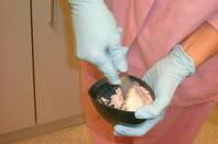 Plaster by Flickr user Aine under CC 2 license