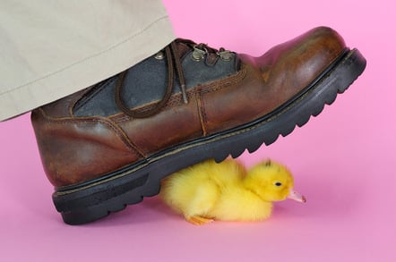 Boot crushes duckling - pic Shutterstock