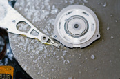 Frozen disc, image via Shutterstock