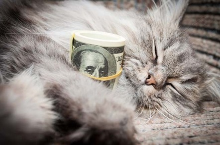 Tabby cat cuddles roll of one-hundred dollar bills. Photo by Shutterstock