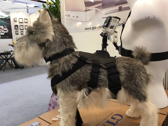Camera mount for dogs