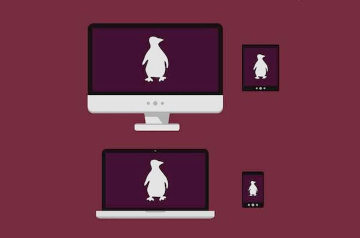 Samsung to let proper Linux distros run on Galaxy smartmobes