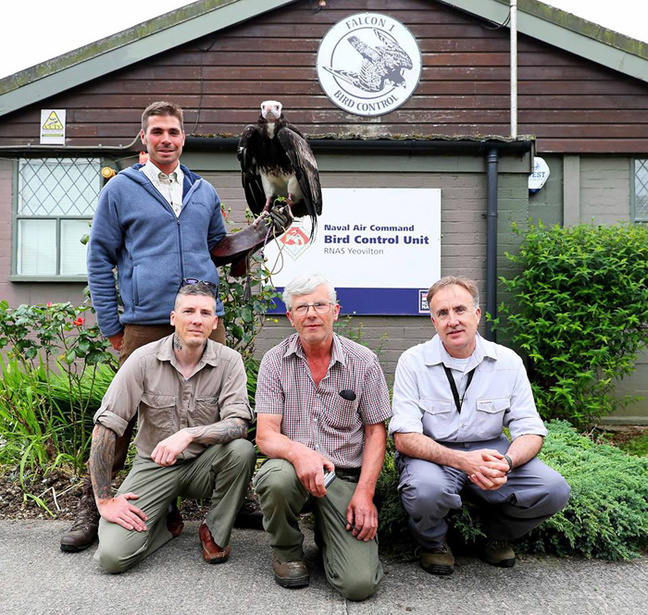 Members of Royal Naval Air Station Yeovilton's Bird Control Unit pose with Arthur