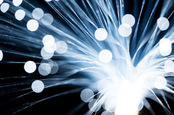 Fibre, image via Shutterstock