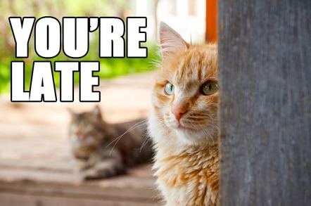 CAT TELLS OWNER THEY'RE LATE. PHOTO BY SHUTTERSTOCK