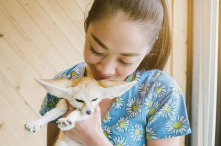 Woman cuddles 'sly-looking' Fennec fox. Photo by Shutterstock