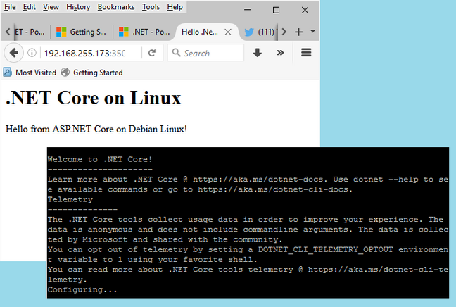 .NET Core running on Debian Linux - and the telemetry warning you get on first use