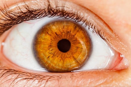 Human iris. Photo by SHutterstock