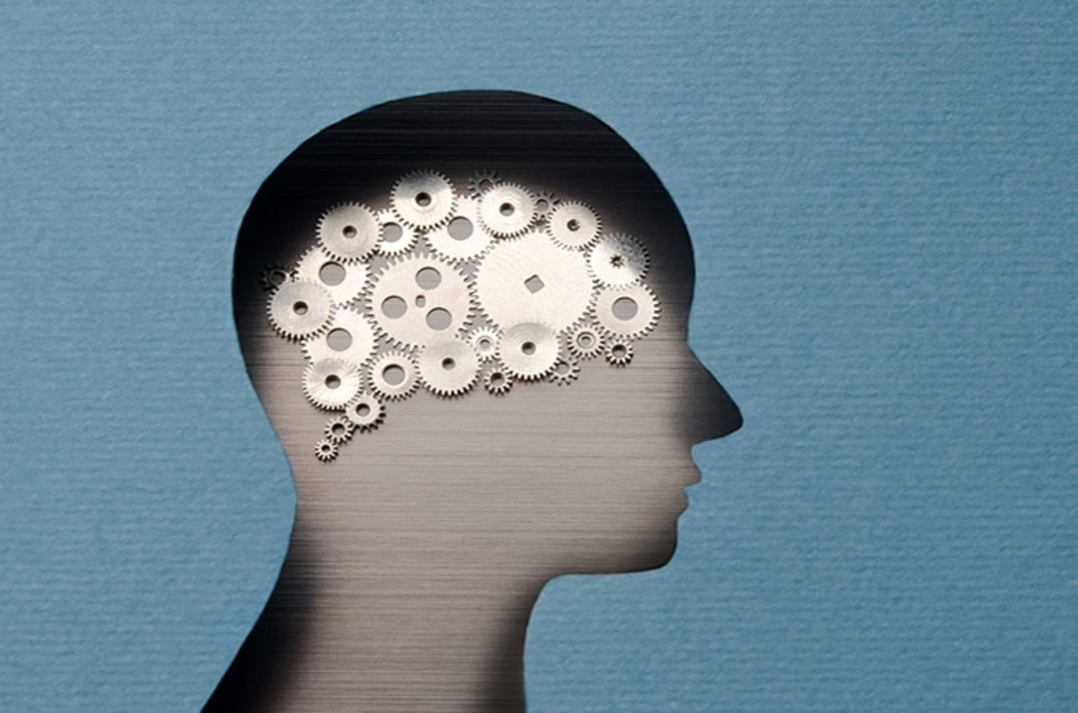 The Great Brain Scan Scandal: It isn’t just boffins who should be ashamed