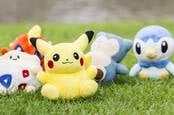 Pokemon toys