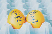 Two eggs hugging couple arranged in carton