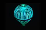 Facebook laser receptor