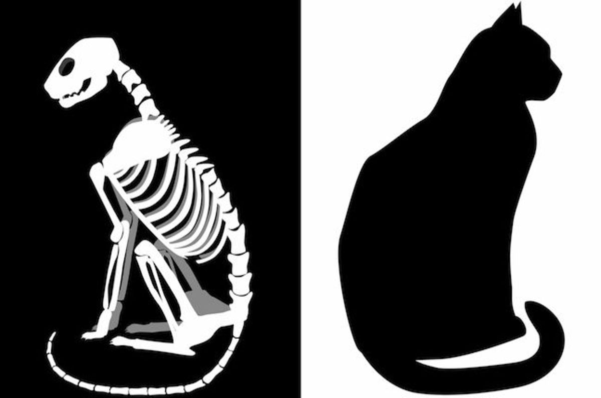 UK prof claims to have first practical blueprint of a quantum computer