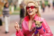 Reese witherspoon as Elle Woods from the film Legally Blonde. Photo copyright MGM Studios