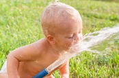 Baby tries to drink from a water hose. Photo by Shutterstock