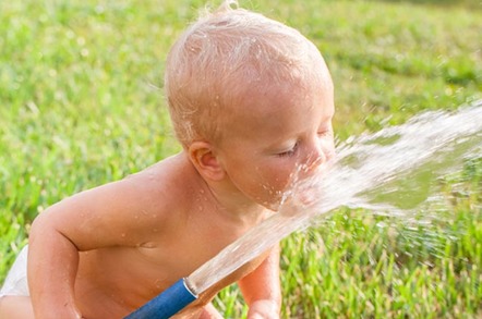 Baby tries to drink from a water hose. Photo by Shutterstock