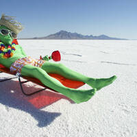 Green space alien with sombrero and drink on a sun lounger