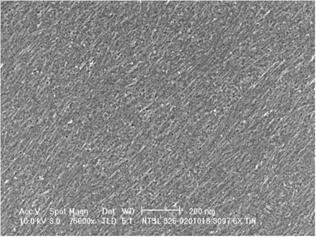 SEM_Image_of_NRAM