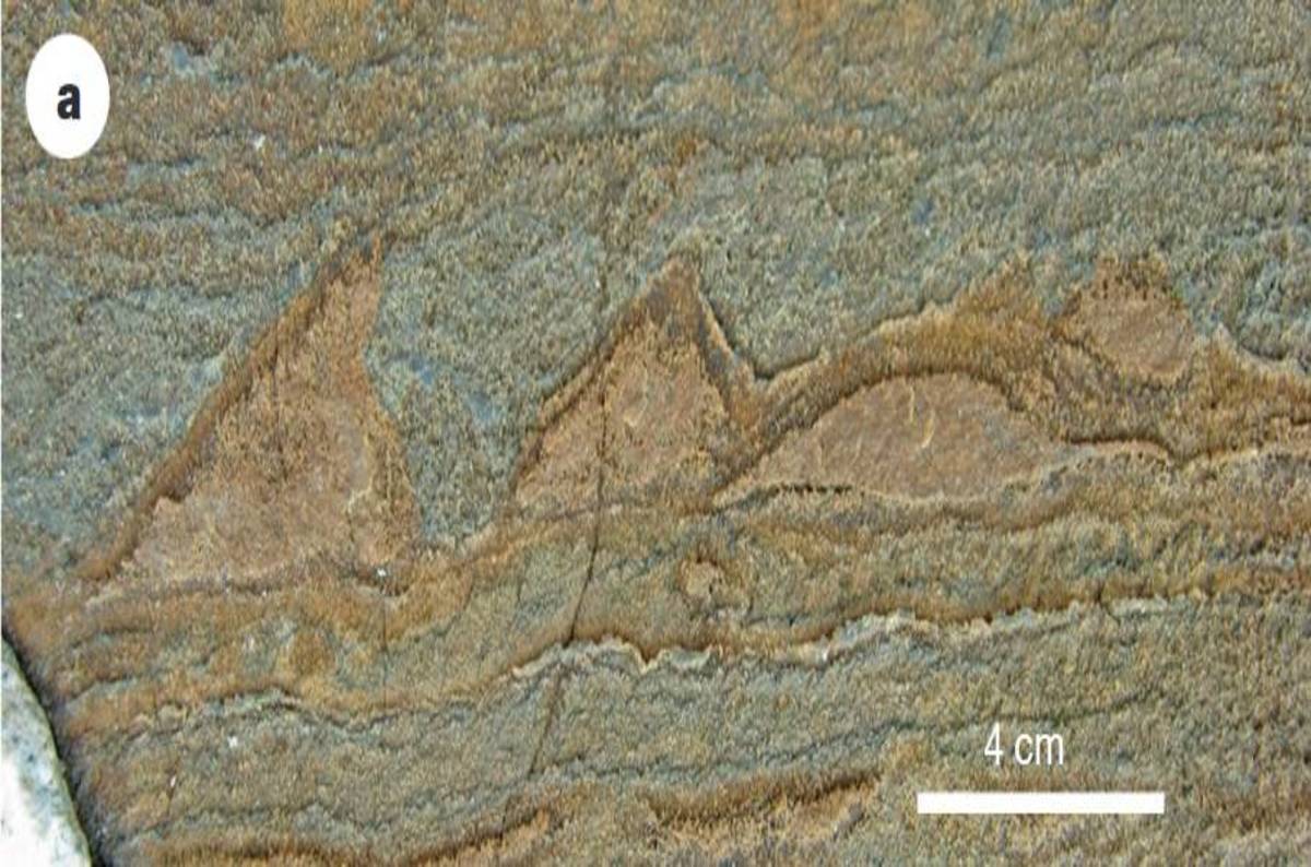 Australian geoboffin discovers 3.7 billion year old fossils after ice melts