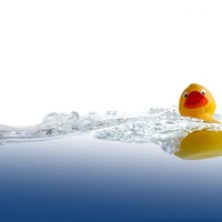 Rubber duck (classic, yellow) floats on water. Photo by shutterstock