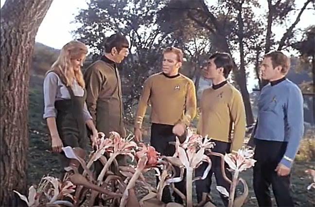 Star Trek This Side of Paradise