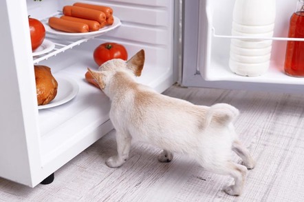 dog noses around in fridge. photo by Shutterstock