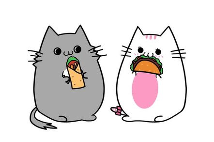 Cats eating a burrito and a taco