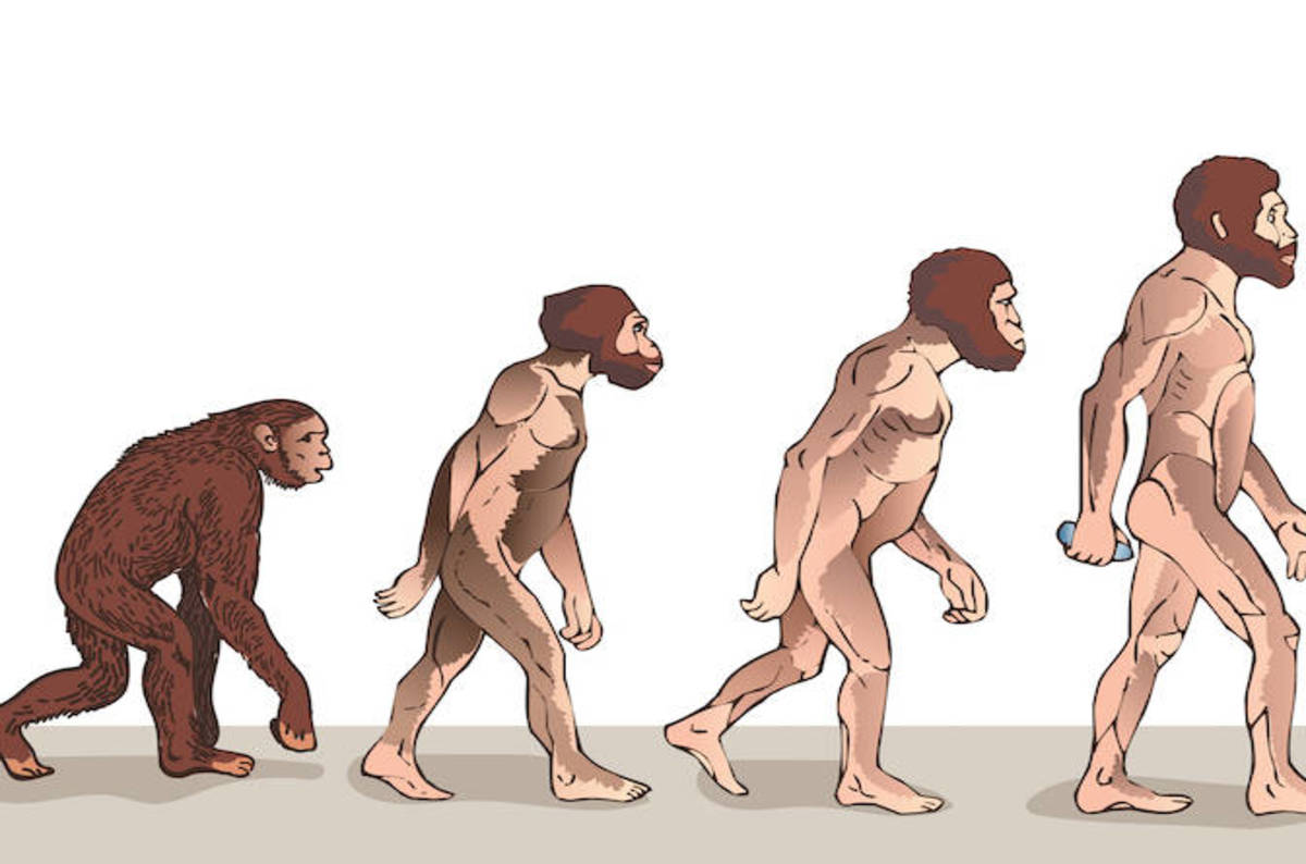 Upstart AI dreams of 'disrupting' digital marketing – with sex