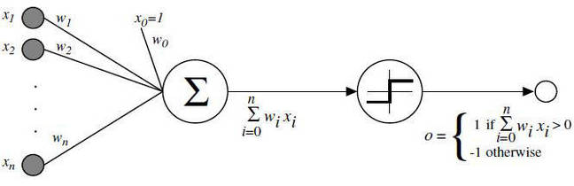 perceptron.jpg