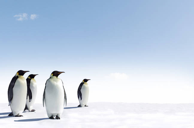 The fifth release candidate for version 5.13 of the Linux kernel has emerged, and project boss Linus Torvalds has expressed only mild concern about pr