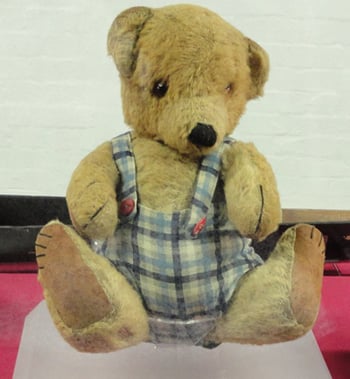 Turing's teddy, photo SA Mathieson