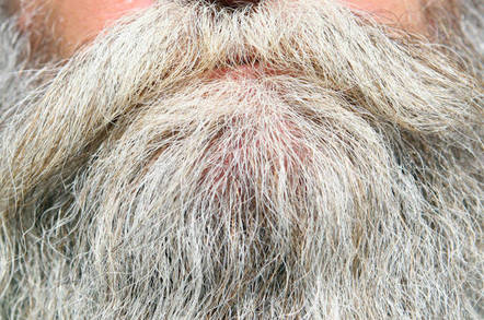 A grey beard