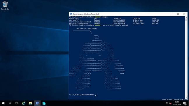 A Docker container running on Windows Server 2016