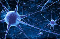 Neural network image via Shutterstock