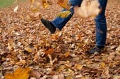 Autum leaves photo via Shutterstock