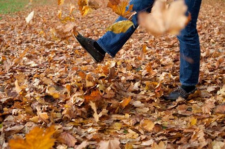 Autum leaves photo via Shutterstock