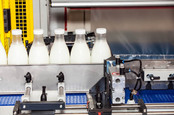 milk production line. Photo by SHutterstock
