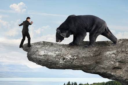 Bear