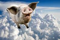 Flying pig